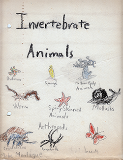 Invertebrate Animals thumbnail